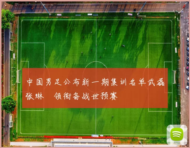 中国男足公布新一期集训名单武磊张琳芃领衔备战世预赛