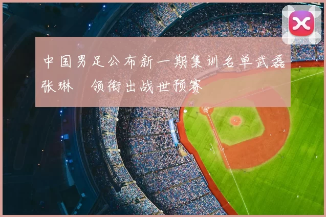 中国男足公布新一期集训名单武磊张琳芃领衔出战世预赛