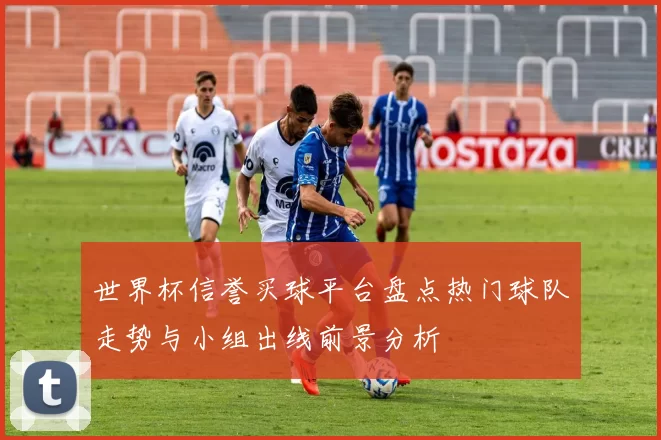 世界杯信誉买球平台盘点热门球队走势与小组出线前景分析