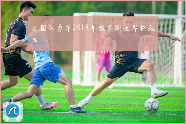 法国队勇夺2018年俄罗斯世界杯冠军