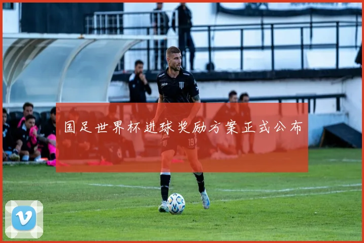 国足世界杯进球奖励方案正式公布