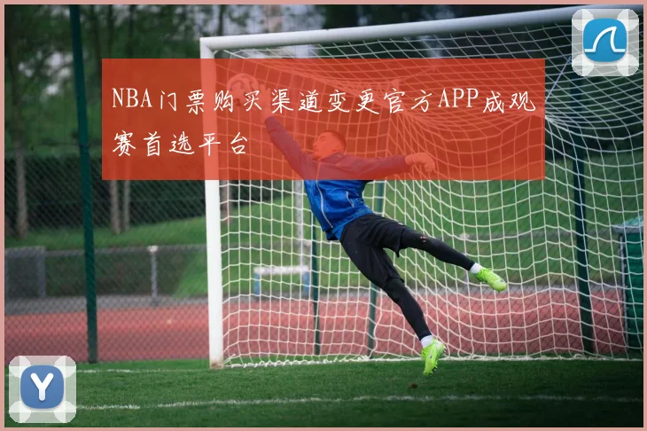 NBA门票购买渠道变更官方APP成观赛首选平台